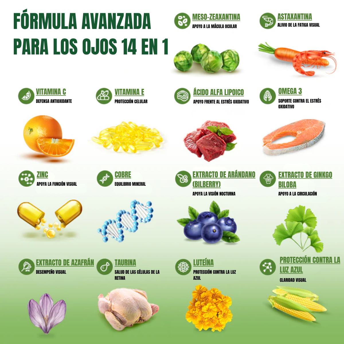 EverVision  - El poder natural detrás de una visión saludable